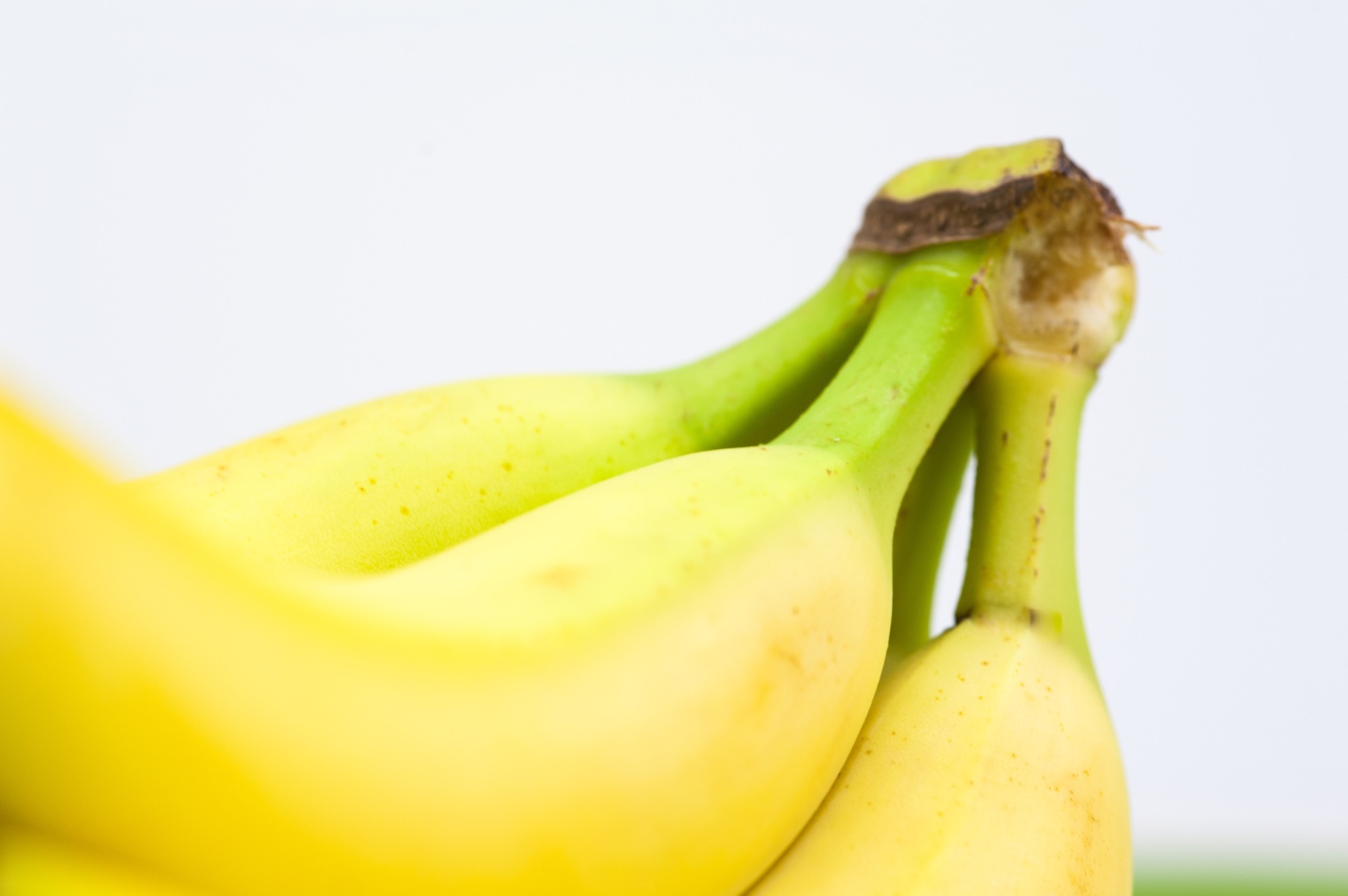 Keurmeestermodule P15: banaan, druif, kiwi, meloen en pompoen