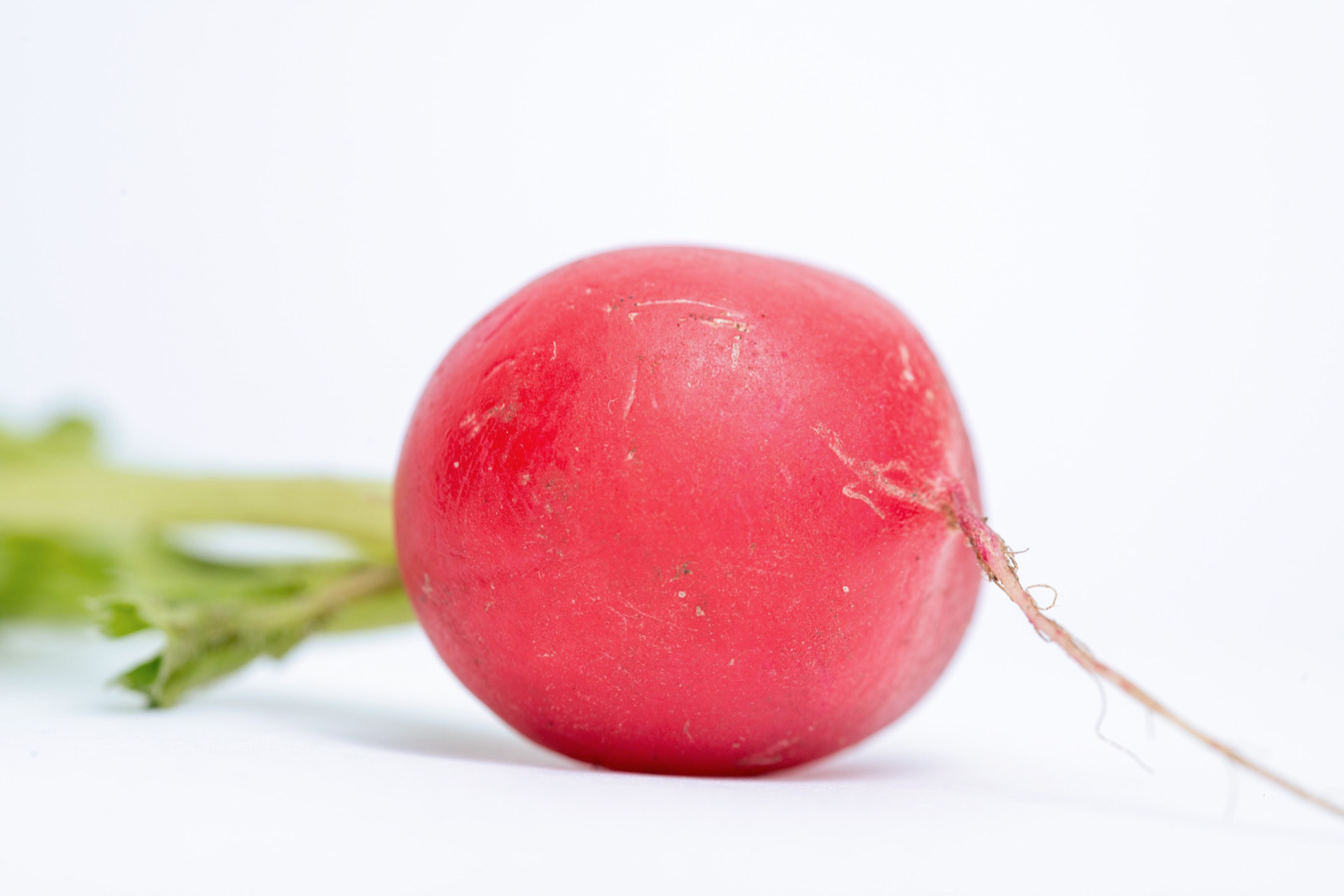 Keurmeestermodule P5: knolselderij, peen, radijs, rettich, venkel, zoete aardappel en koolrabi