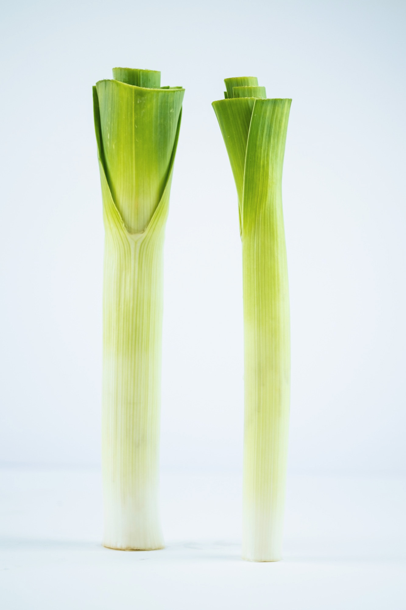 Keurmeestermodule P7: prei, asperges, rabarber en bonen