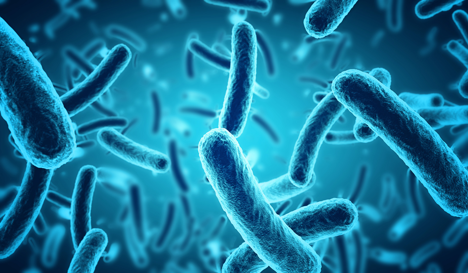 Whitepaper Ontdek de 9 beheersmaatregelen van Listeria monocytogenes