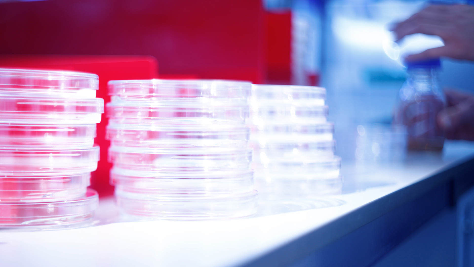 Micro-Smedt maakt deel uit van Normec Foodcare