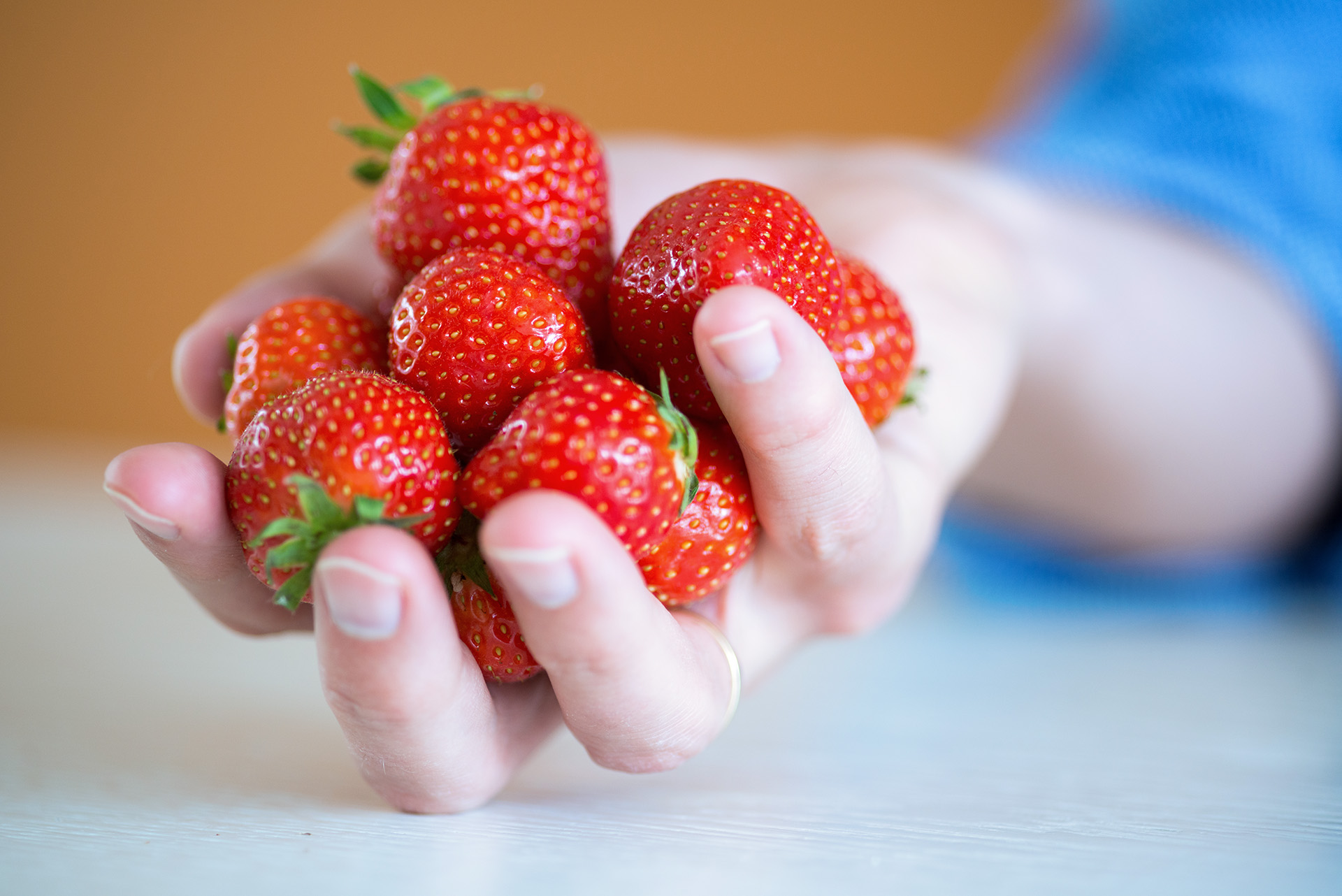 Fresh Produce