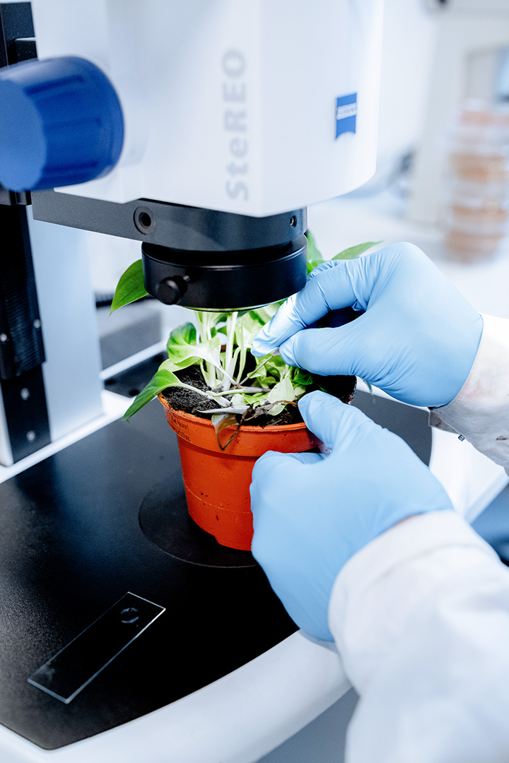 Werkzaamheidstesten Biociden