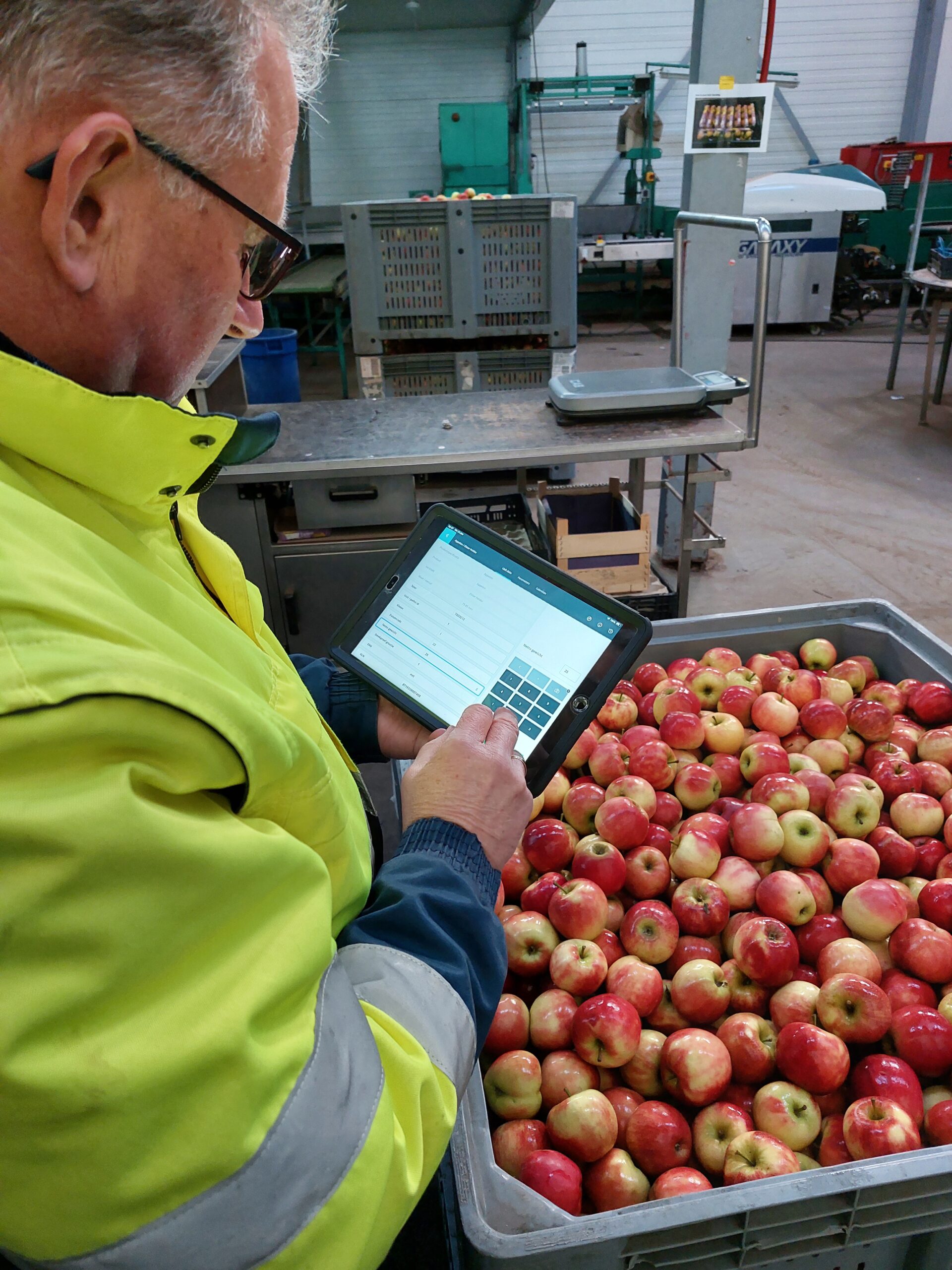 Van loopjongen tot regiocontroleur hardfruit: Ko Oostdijk na ruim 47,5 jaar met pensioen