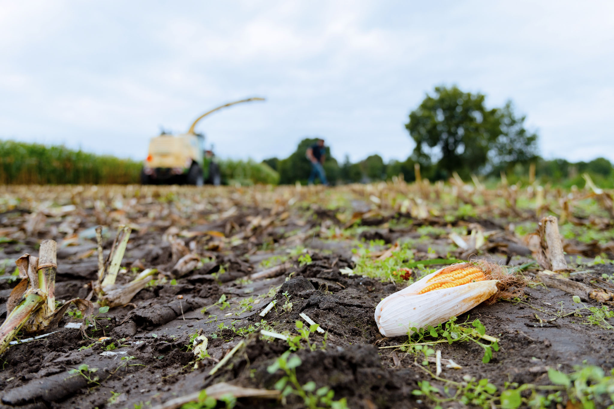 Feed analyses: risicobeheersing in de voerproductie